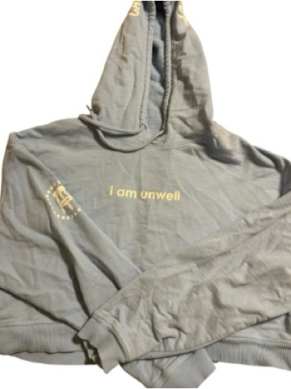 Call Her Daddy I Am Unwell Cropped Hoodie